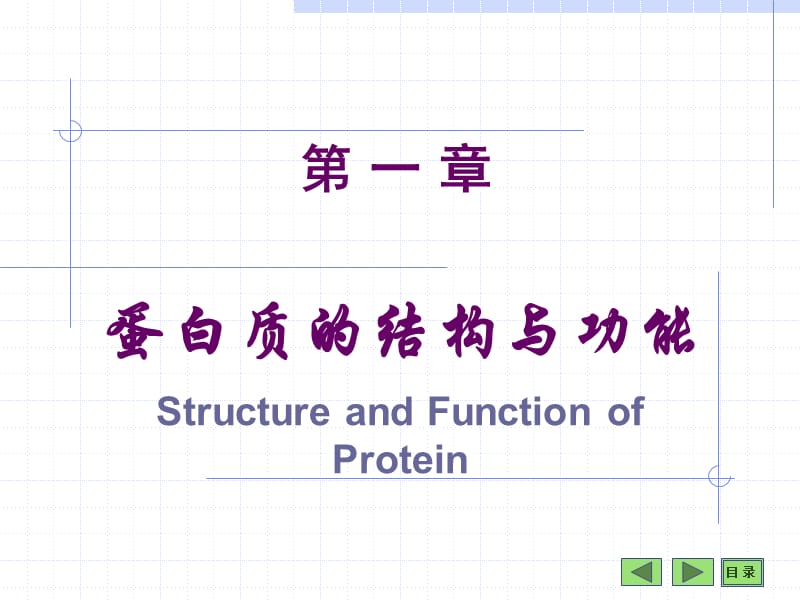 蛋白质的结构与功能ppt课件.ppt_第1页