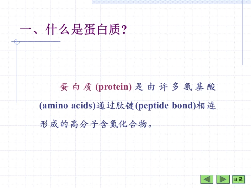 蛋白质的结构与功能ppt课件.ppt_第2页