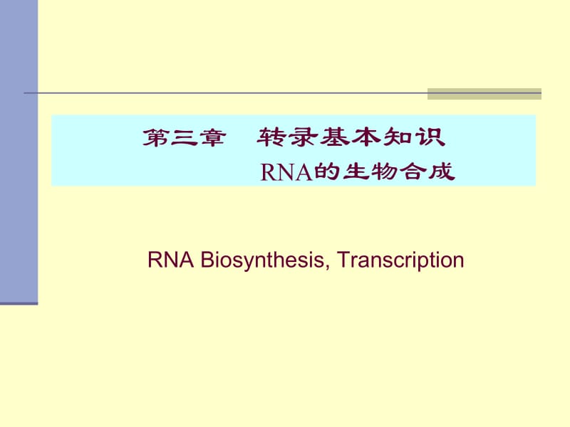 转录基本知识 (NXPowerLite).ppt_第1页