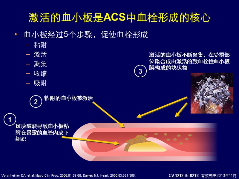 抗血栓药的发展及替格瑞洛的早期研究.ppt_第3页