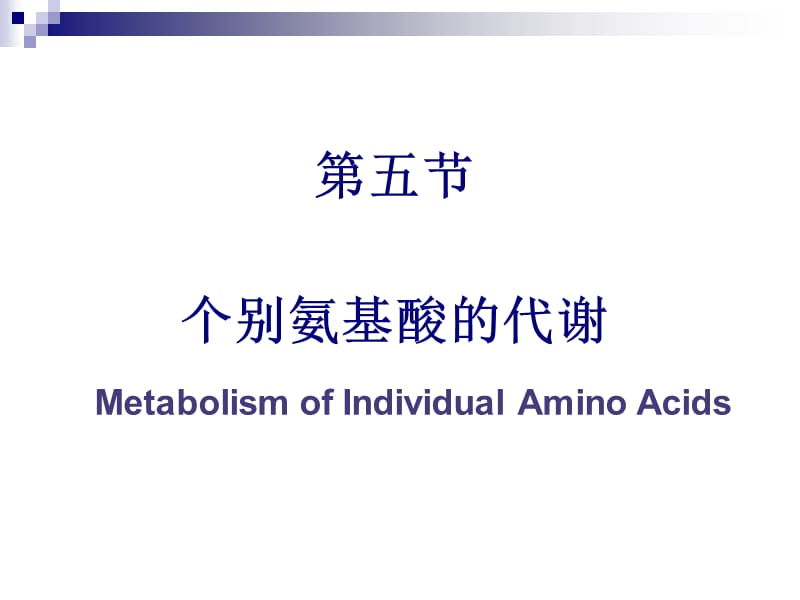 氨基酸代谢-3.ppt_第2页