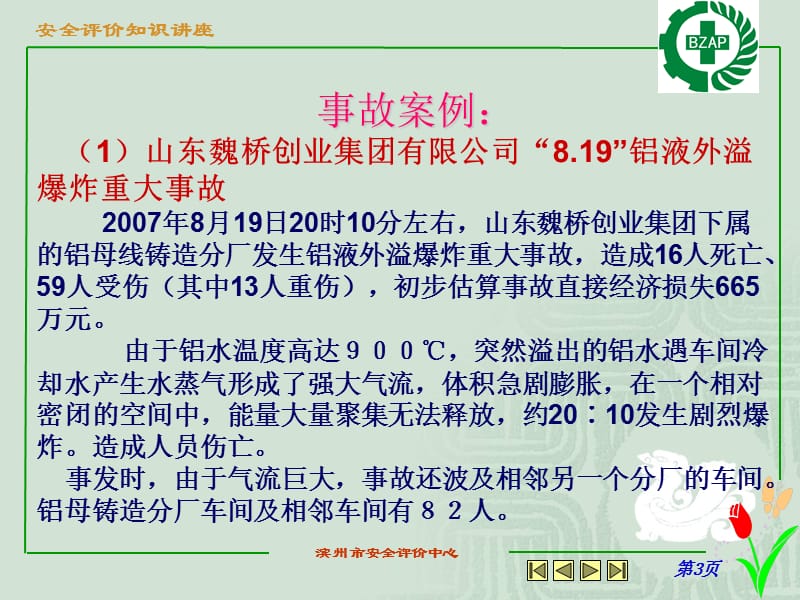 滨州市安全评价中心.ppt_第3页