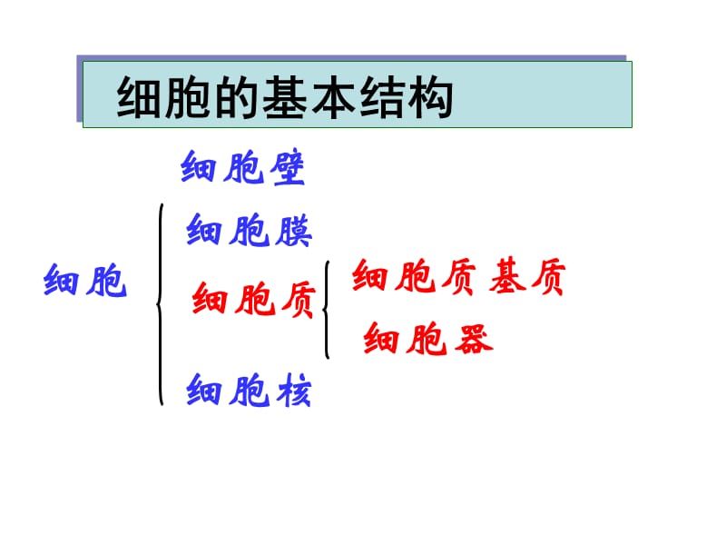 必一2-1细胞膜.ppt_第2页