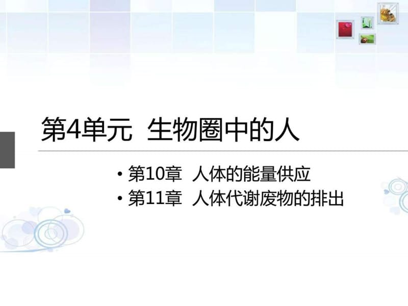 初三复习之第4单元 生物圈中的人(10、11章).ppt_第1页