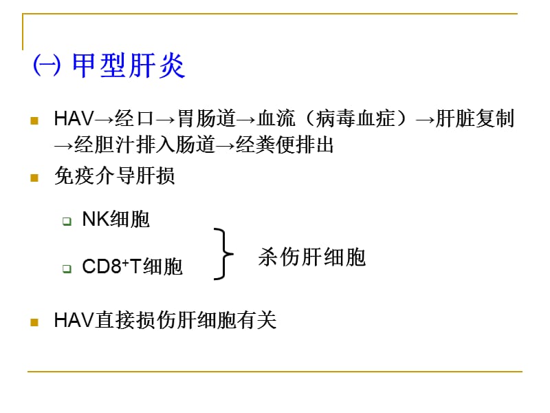 病毒性肝炎2ppt.ppt_第2页