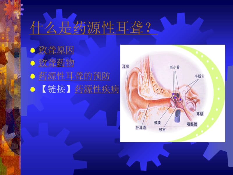 课题_药源性耳聋.ppt_第2页