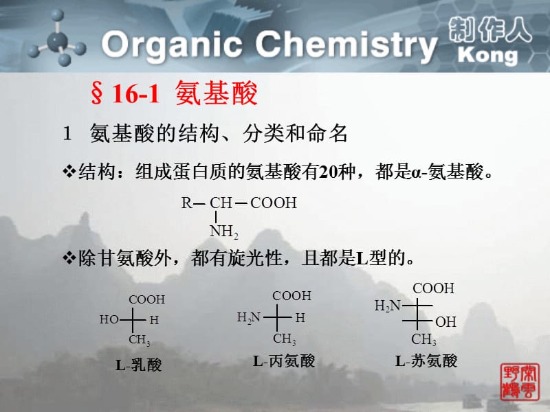 氨基酸、蛋白质.ppt_第2页