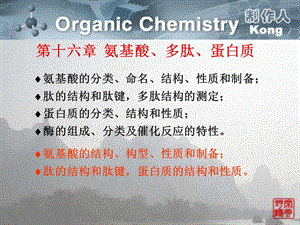 氨基酸、蛋白质.ppt