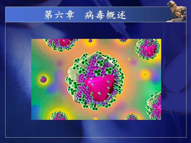 病毒概述 (1).ppt_第1页