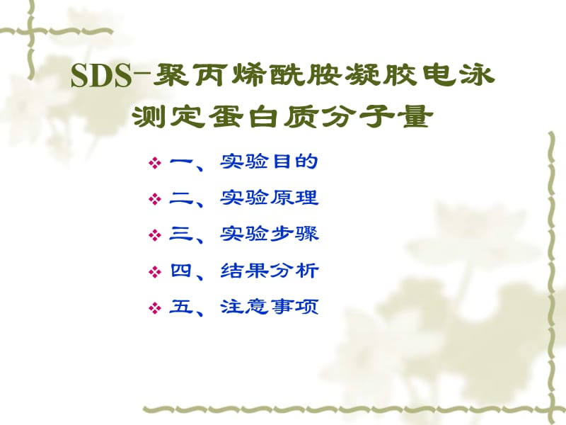 SDS-聚丙烯酰胺凝胶电泳法测定蛋白质分子量.ppt_第2页