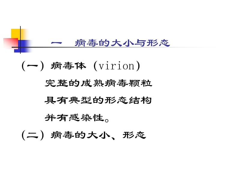 病毒真菌生物学性状.ppt_第3页