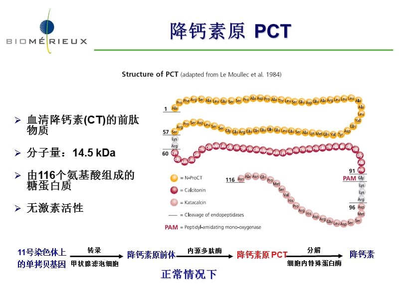 PCT在ICU的应用.ppt_第2页