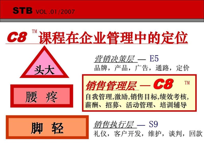 名企内训-销售团队管理及团队打造-ppt.ppt_第3页