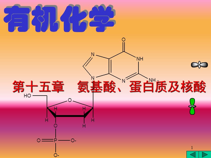 氨基酸、蛋自质及核酸.ppt_第1页