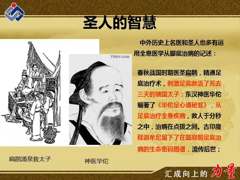 百变魔板一病一绝招.ppt_第3页