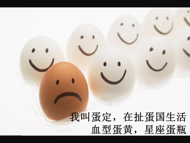 一个鸡蛋的故事(有趣的PPT-也很精致).ppt_第2页