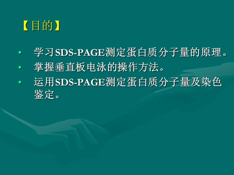 SDS-聚丙烯酰胺凝胶电泳法测定蛋白质的相对分子质量.ppt_第2页