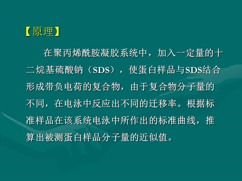 SDS-聚丙烯酰胺凝胶电泳法测定蛋白质的相对分子质量.ppt_第3页