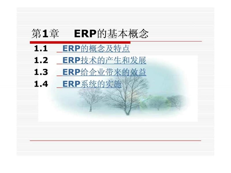 ERP的基本概念.ppt_第1页