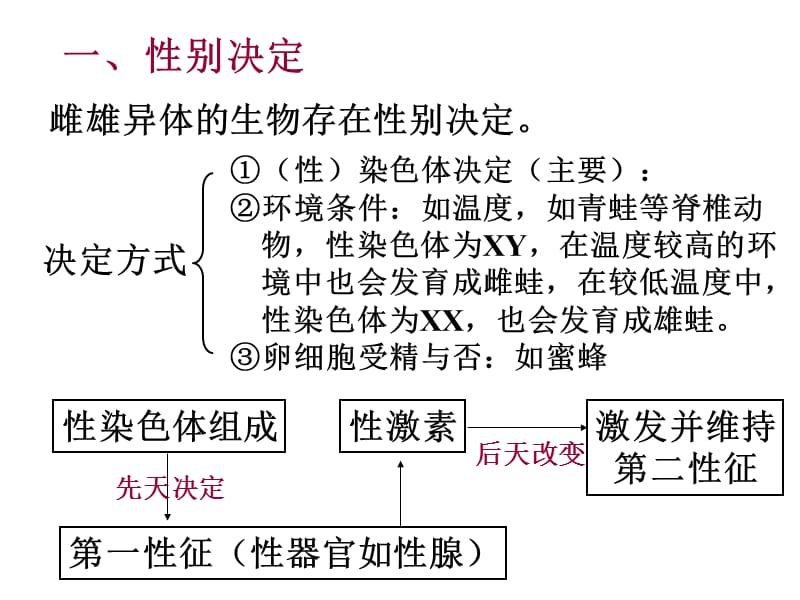 性别决定和伴性遗传.ppt_第2页