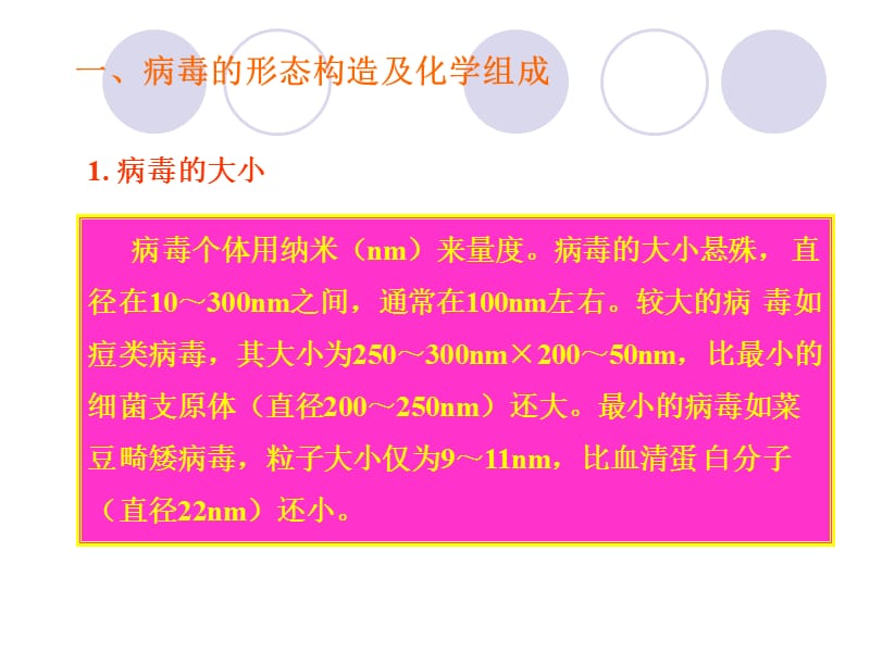 病毒是一类超显微的非细胞生物每一种病毒只含有一种核.ppt_第3页