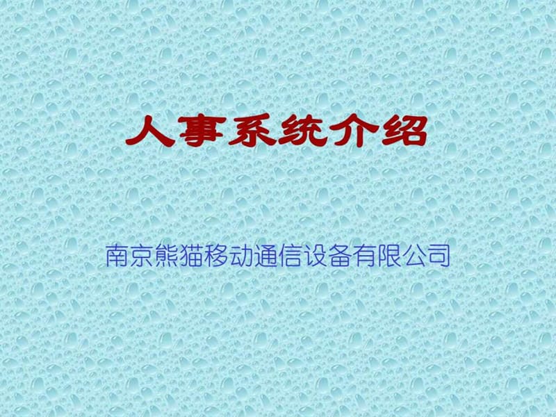 公司人事系统介绍.ppt_第1页