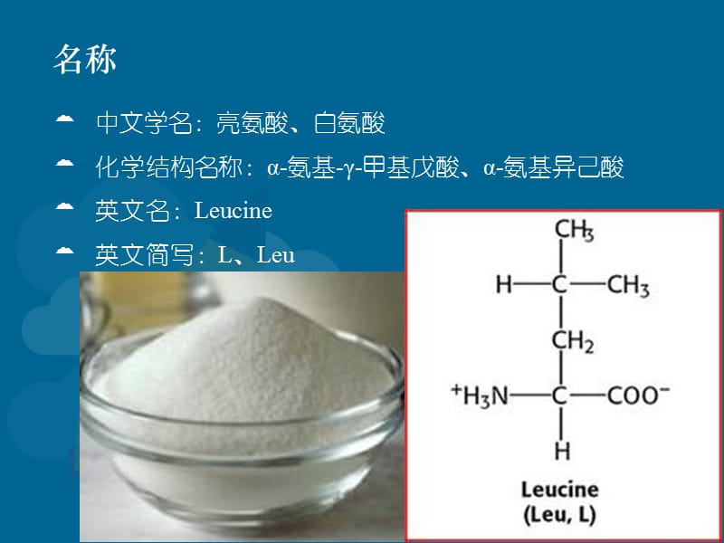 氨基酸之亮氨酸.ppt_第2页