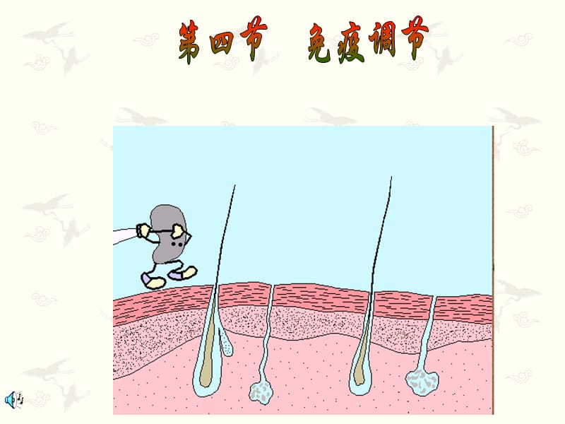 wen免疫调节用.ppt_第3页