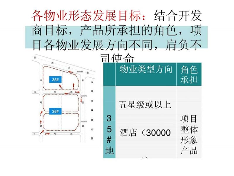 中原2010年海南海口中弘·西海岸项目市场调研成果(1).ppt_第3页