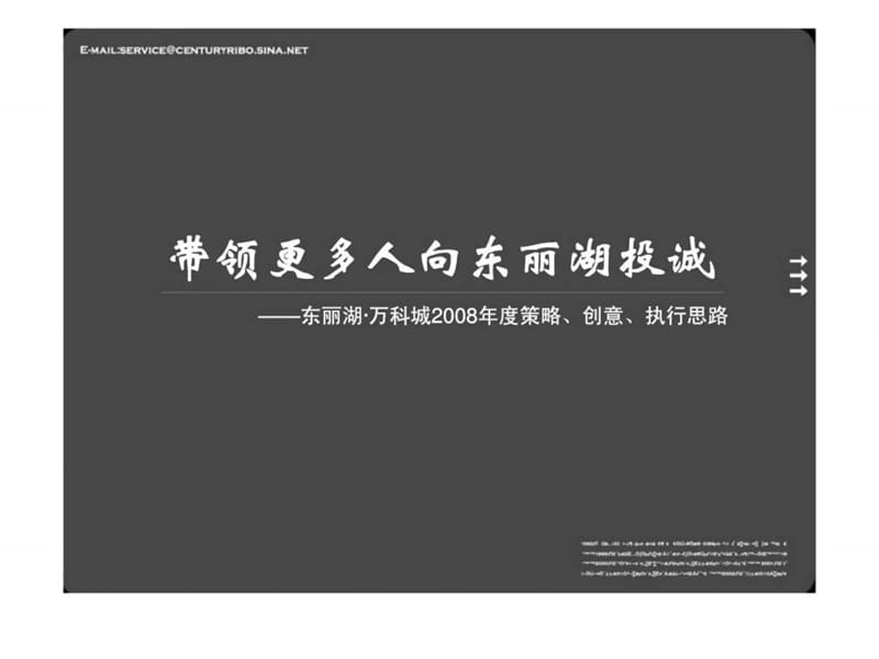 带领更多人向东丽湖投诚——东丽湖·万科城2008年度策略丶创意丶执行思路.ppt_第3页