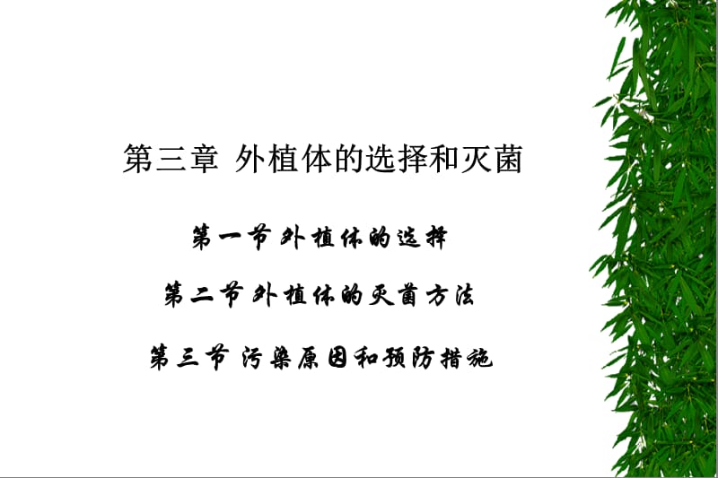 第三章外植体的选择和灭菌.ppt_第2页