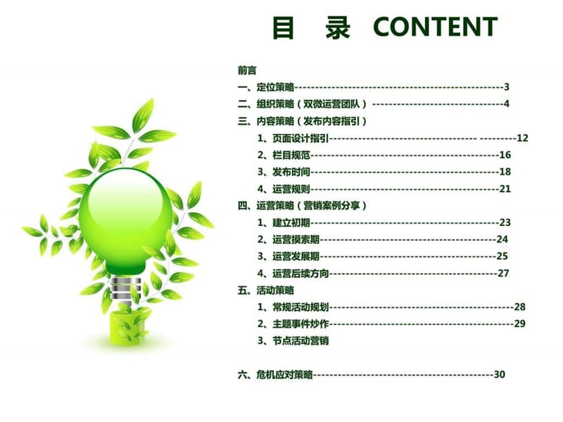 新媒体运营方案_图文.ppt.ppt_第2页