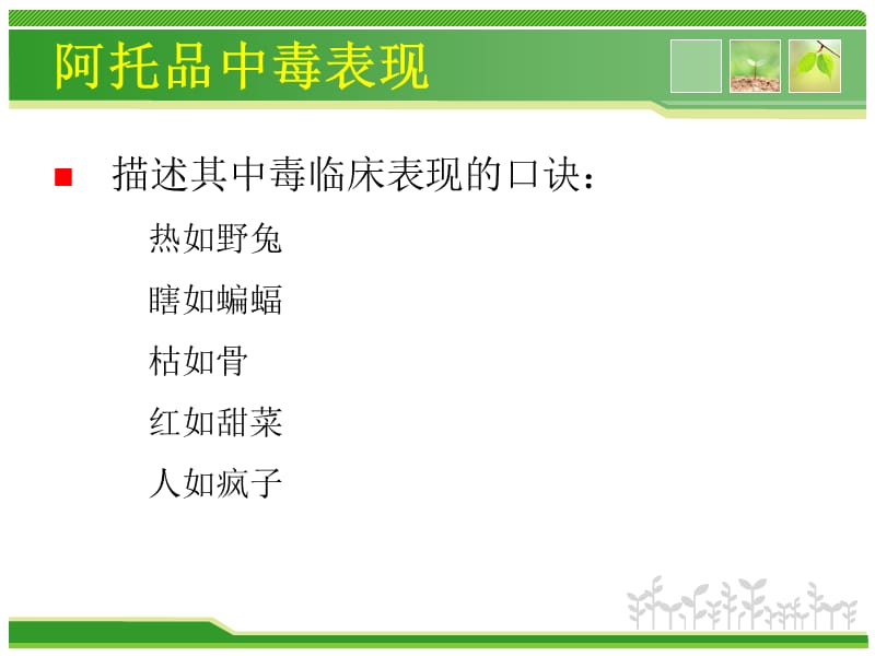 阿托品中毒.ppt_第2页