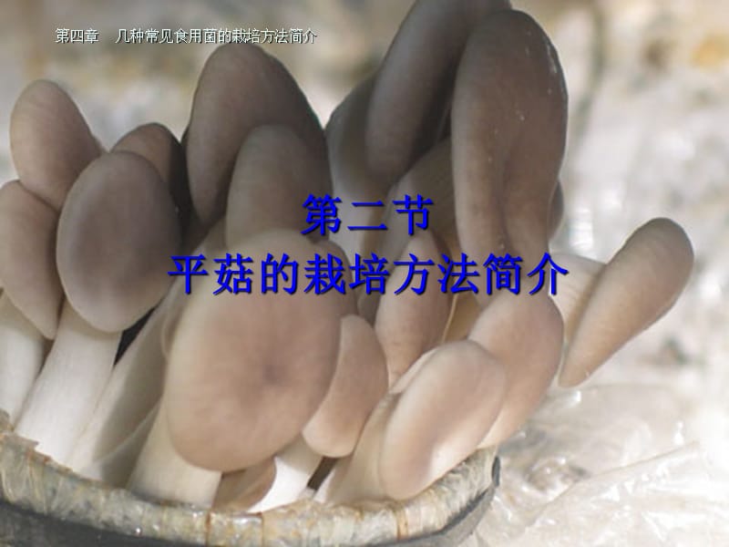 第四章-几种常见食用菌的栽培方法.ppt_第1页