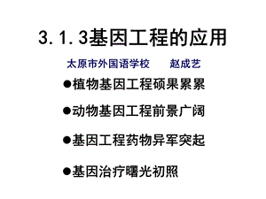 选修3专题1基因工程1.3基因工程的应用.ppt