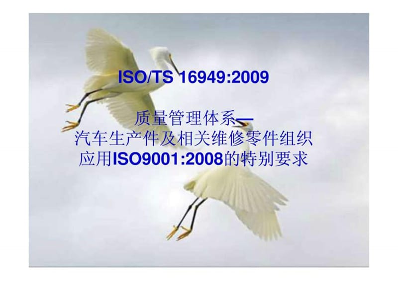 TS169492009培训讲义.ppt_第2页