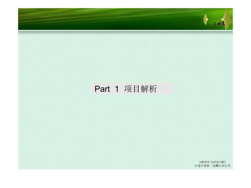 玉湖湾整体活动策划方案.ppt_第3页