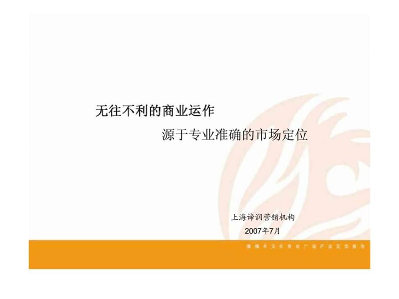 产品定位规划及运营方案.ppt_第2页