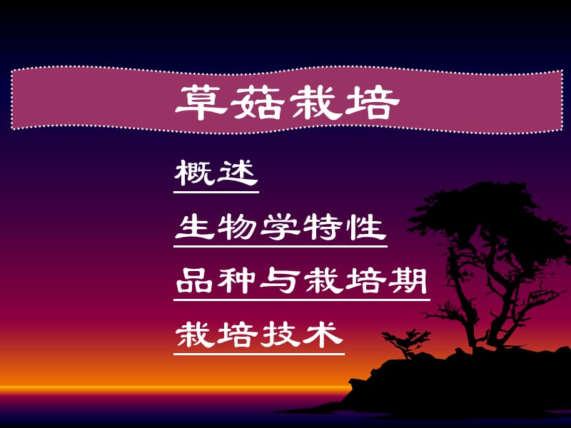 第十三讲草菇栽培.ppt_第1页