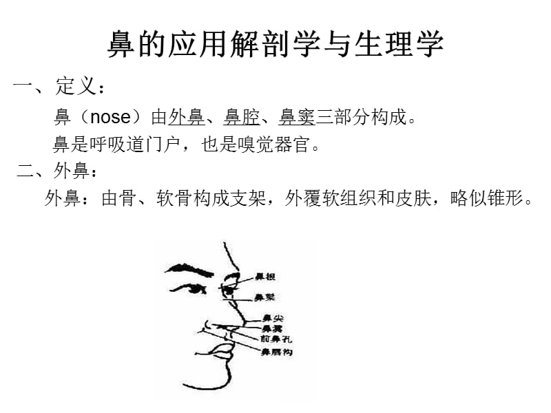 鼻与鼻窦的应用解剖学与生理.ppt_第3页