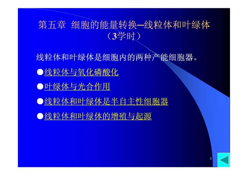 细胞的能量转换线粒体和叶绿体.ppt_第1页