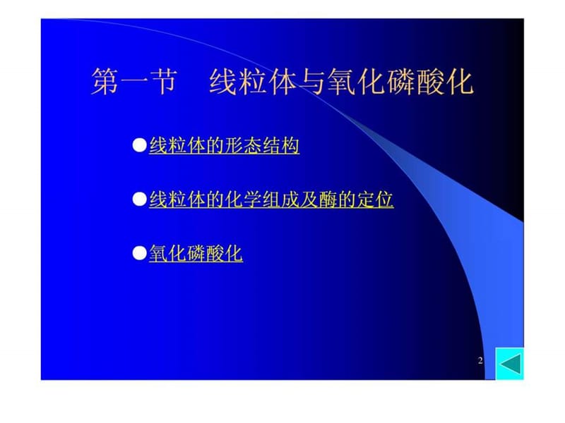 细胞的能量转换线粒体和叶绿体.ppt_第2页