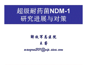 超级耐药菌NDM-研究进展与对策.ppt