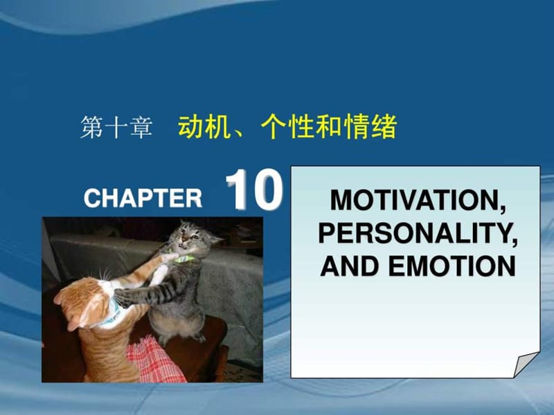 消费者行为学第10章.ppt_第1页