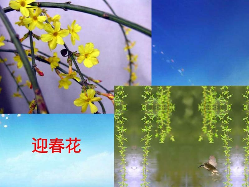 教科版科学四年级下册第二单元油菜花开了_图文.ppt.ppt_第2页