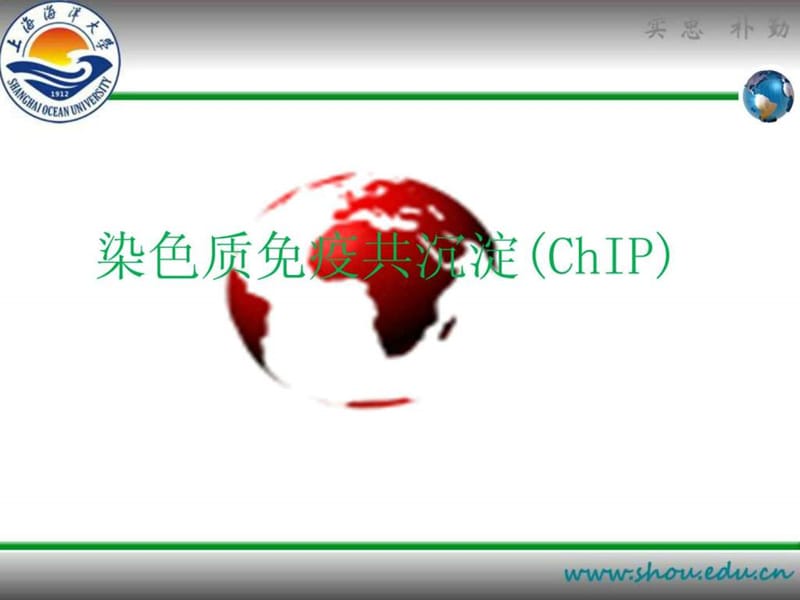 染色质免疫共沉淀PPT.ppt.ppt_第1页