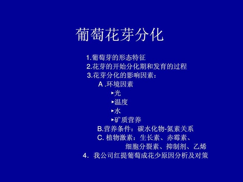 葡萄的花芽分化.ppt.ppt_第1页