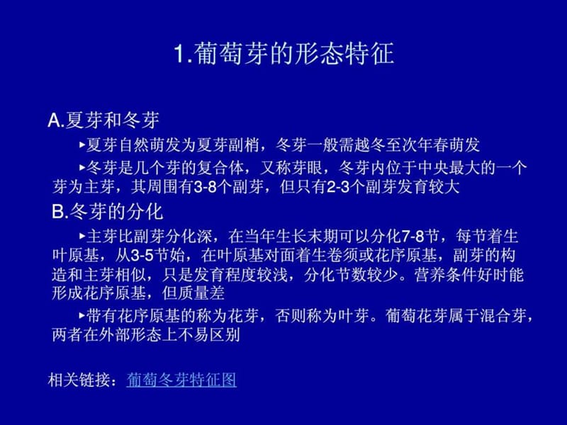 葡萄的花芽分化.ppt.ppt_第2页