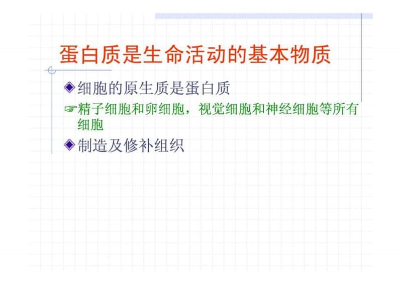 营养学专业培训(2)-蛋白质.ppt.ppt_第2页