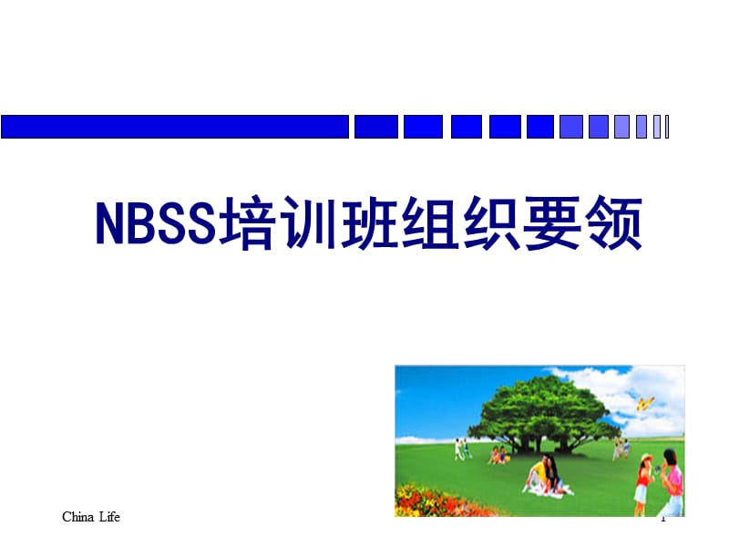 NBSS培训班组织要领30页.ppt_第1页